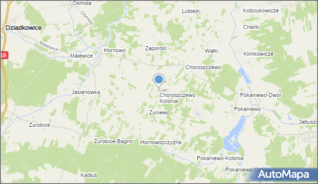 mapa Choroszczewo Kolonia, Choroszczewo Kolonia na mapie Targeo